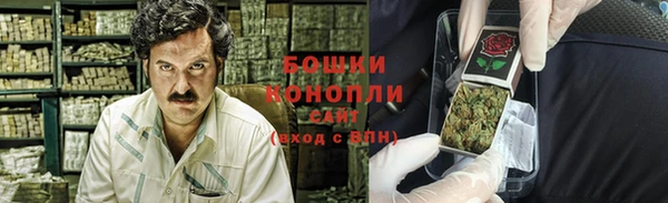 ГАЛЛЮЦИНОГЕННЫЕ ГРИБЫ Алексеевка